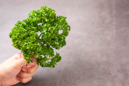 Hand holding freshly picked parsley