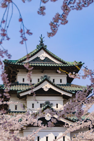 Hirosaki Castle, castle tower surrounded by cherry blossoms, Aomori, Japanの写真素材