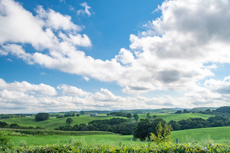 Beautiful summer landscape with green fields and blue sky with white clouds