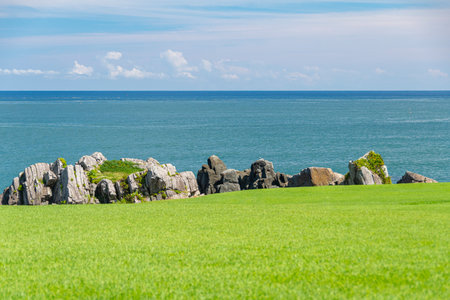 Landscape of a green meadow with rocks and blue sea in the backgroundの写真素材