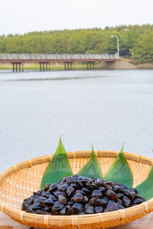 Freshwater clam (Shijimi clam) on a colander, Aomori, Japanの写真素材