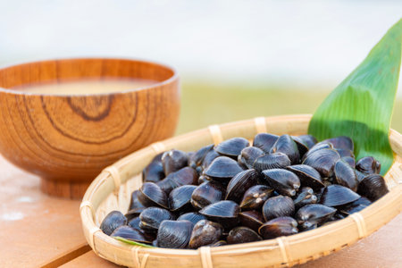 Miso soup with freshwater clam (Shijimi clam) and shijimi clam from Lake Jusan, Aomori, Japanの写真素材