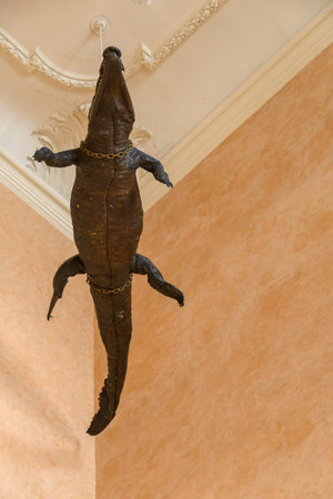 Taxidermy of a crocodile displayed in the city hall of Nimes, Franceの写真素材