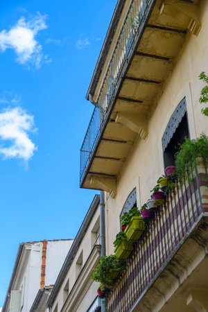 Potted flowers on the window sill, Nimes, Franceの写真素材