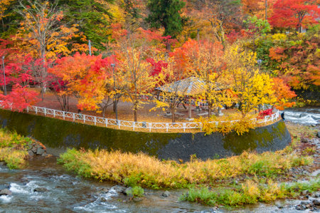 Autumn at Nakano Momijiyama in the color of autumn leaves. Aomori, Japanの写真素材