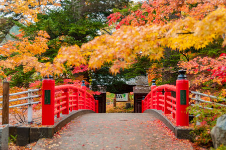 Nakano Momijiyama, red bridge amidst the autumn leaves. Aomori, Japanの写真素材