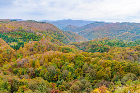 Beautiful autumn scenery with colorful forests and mountains in the background. Japan, Aomori, Hakkoda, Jogakuraの写真素材