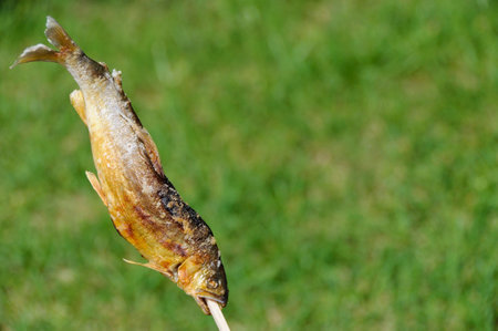 Japanese food, grilled sweetfish with salt.の写真素材