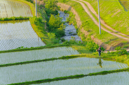 Mowing after rice planting. Aomori, Japanの写真素材