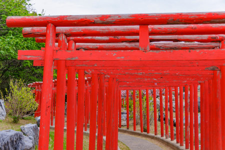 Senbon-torii (Thousand shrines) at Takayama Inari Shrine. Tsugaru, Aomori, Japanの写真素材
