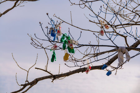 Scenery of Mount Osorezan, Aomori Prefecture Sandals tied to a branchの写真素材