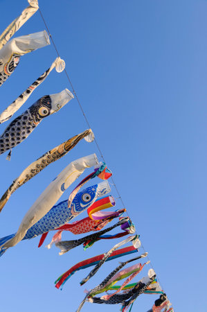Colorful carp streamers hanging on a rope against a blue skyの写真素材