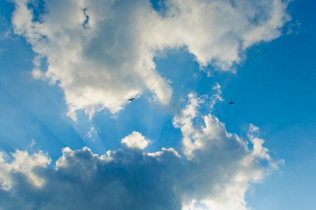 blue sky background with white clouds and sunbeams, nature series