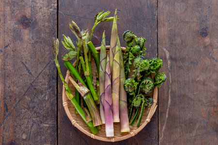 Japanese spring wild vegetables (udo, bamboo shoots, kogomi)の写真素材