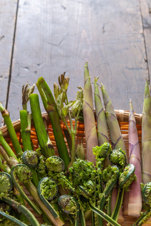 Japanese spring wild vegetables (udo, bamboo shoots, kogomi)の写真素材