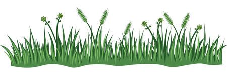 Illustration of a green grass on whiteのイラスト素材