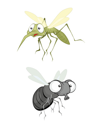illustration of a insect, fly and mosquitoのイラスト素材