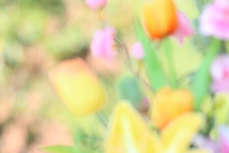 Floral background on soft pastel colorの写真素材