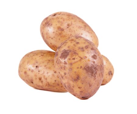 Tastey Potatoesの写真素材