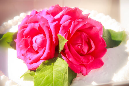 three red roses on the top of white creamy delicious cakeの写真素材
