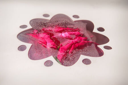 white creamy delicious cake with red flouwers in gift boxの写真素材