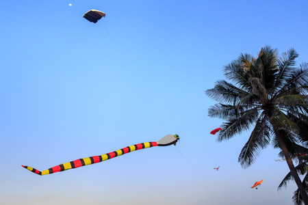 colorful kites of different shape in azure sky against large palm in Vietnamの写真素材