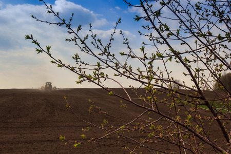 blue sky with cumulus clouds above ploughed field and tractor in spring through tree branch with leaf-budsの写真素材
