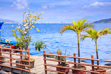 palms and tropical plants in pots on wooden pier with railing against blue sea sky distant hills cityの写真素材