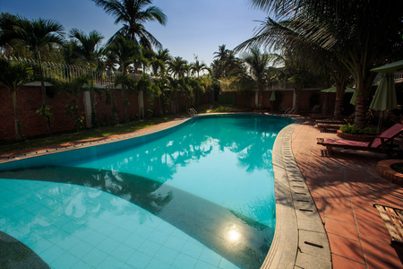 large tropical palm trees reflect in azure swimming pool transparent water and form shade on side pathの写真素材