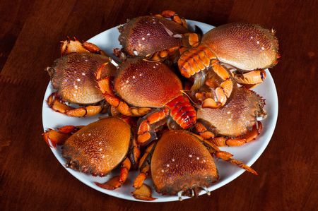 pile of crabsの写真素材