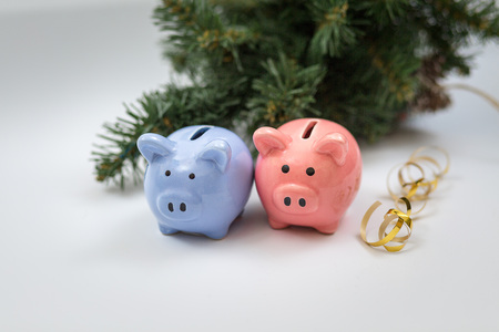 symbol of year piggy bank pink and blue on white backgroundの写真素材