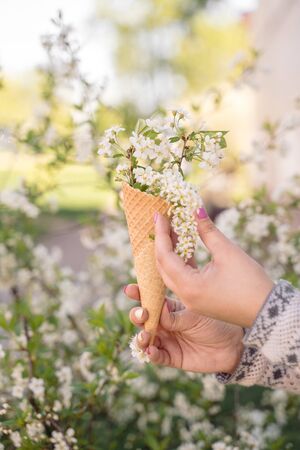 Beautiful waffle cone with ice cream decorated with flowers in the girl's hand with multi-colored bright manicureの写真素材