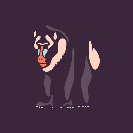 Vector mandrill monkey illustrationのイラスト素材