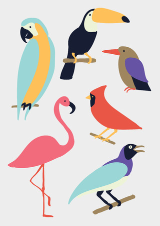 Vector bird illustration, white backgroundのイラスト素材