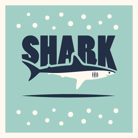 Vector shark illustration, posterのイラスト素材