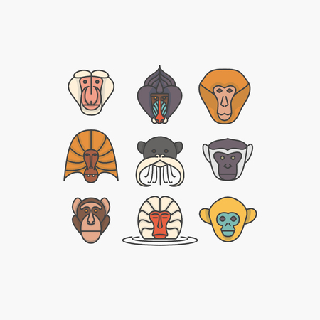 Monkeys, vector icon set, white backgroundのイラスト素材