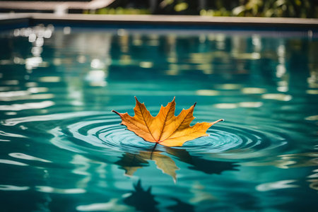 The last day of summer and the return to school are symbolized in this conceptual photograph, featuring a leaf floating in a swimming pool as a sign of the upcoming autumn seasonの素材