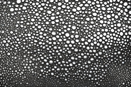 silver chameleon skin product backgroundの素材