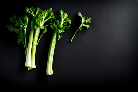celery composition flat lay with free space for copy black paper backgroundの素材