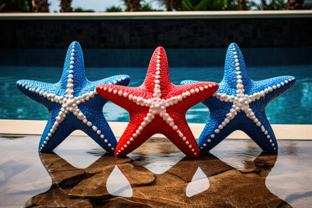 Patriotic Poolside: A Trio of Starfish Embracing the Red, White, and Blueの素材