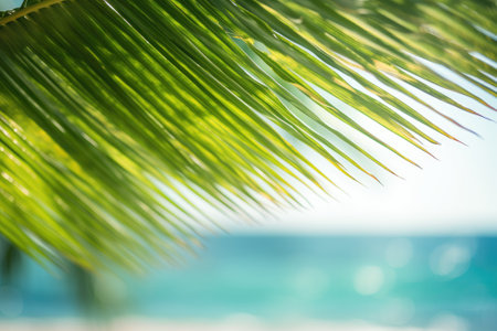 The blurred image presents a palm leaf adorned with lush greenery against the backdrop of a tropical beach, with rays of sun creating a bokeh effect. The scene depicts a harmonious blend of nature's beauty and abstract elements. It symbolizes the possibility of a summer vacation or a business travel experience. The photograph carries a vintage aesthetic, enhanced by a filter effect that gives it a unique color style. Ample empty area is available for additional text or visuals.の素材