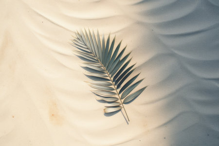 Top-down view of a palm leaf shadow softly cast upon the sandy ground, providing a picturesque banner with empty space for text.の素材