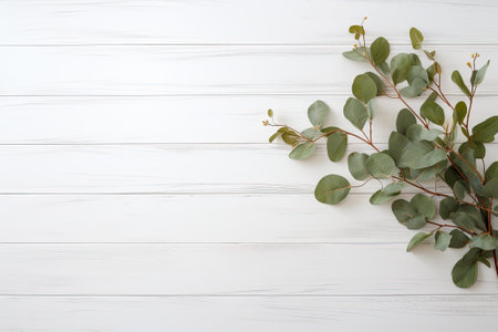 The image features a branch of a decorative plant, positioned on top of a white wooden background, wの素材