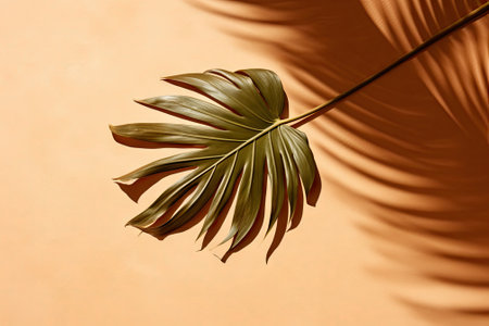 A bird's-eye view of a lush tropical leaf casting a shadow on a sandy colored backdrop. The image isの素材