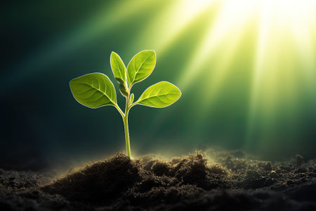 A youthful plant flourishing under the rays of the sun, reflecting the idea of the environment and eの素材