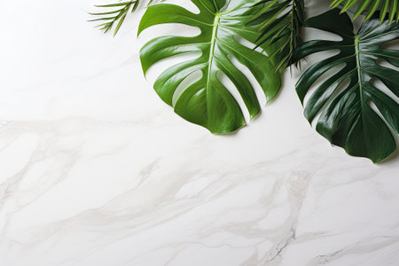 The idea of natural and organic cosmetic products is displayed in this image featuring monstera tropの素材