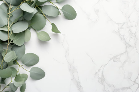 Fresh plant concept with a trendy layout showcasing natural green eucalyptus branches on a light greの素材