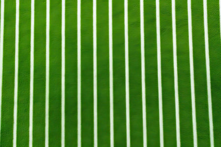 Bird s eye view of a striped soccer field with green grass and white linesの素材