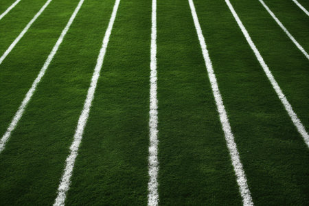 Soccer field texture with stripes copy space includedの素材