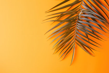 Tropical palm leaf on orange backdrop Thanksgiving and Halloween decoration Product showcase Natureの素材
